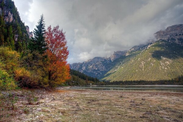 Berge und Wald im Herbst. Düsterer Himmel