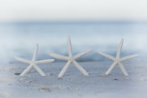 Bokeh sur la plage dans le sable