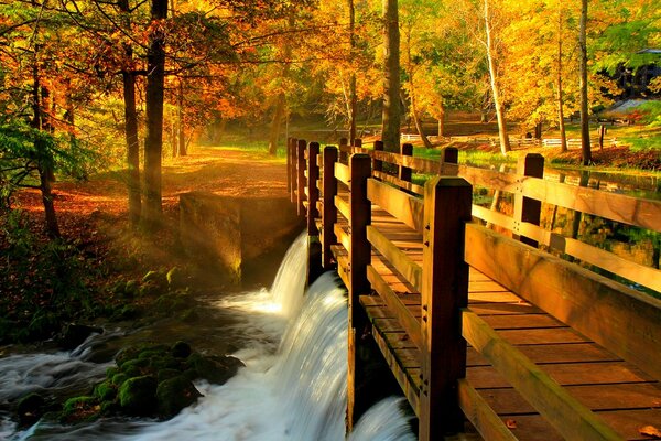 Wassertropfen der Brücke über den Fluss