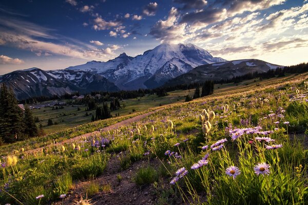 Bellissimo paesaggio nel Parco Nazionale degli Stati Uniti