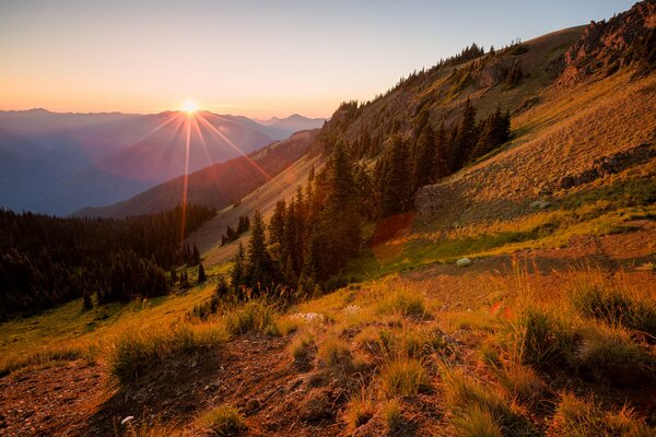 Pendio di montagna nei raggi del tramonto