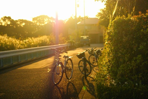 Radfahren an einem sonnigen Morgen