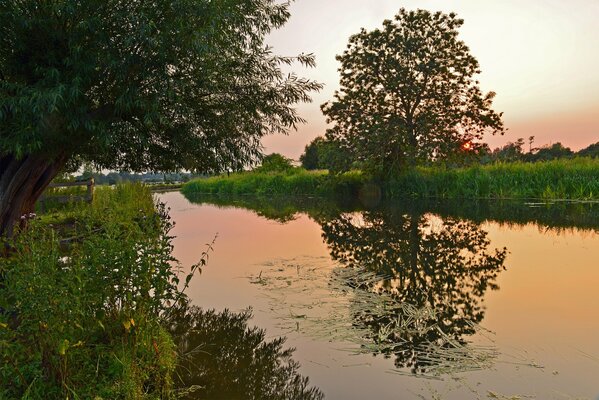 Reflexion des Sonnenuntergangs im See. Teich im Park