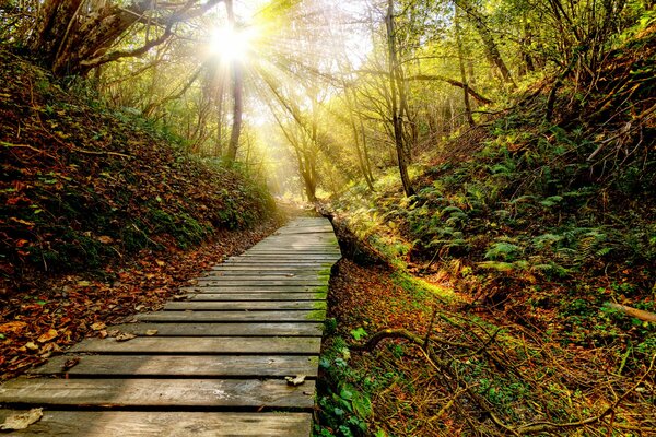 Sonnenuntergang Wanderwege Landschaft im Herbst