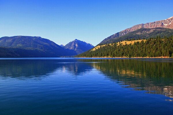 Wald und Berge, die sich im Fluss widerspiegeln