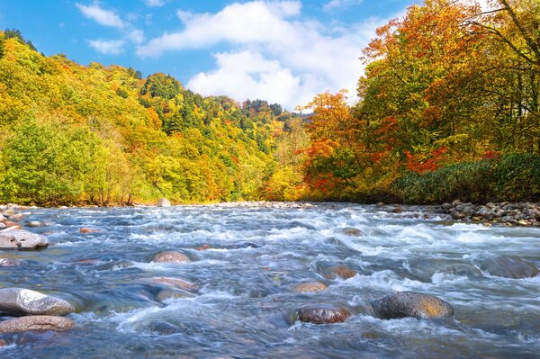 Rzeka i kamienie wczesną jesienią