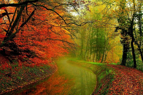 Sentier de la vallée de la forêt d automne