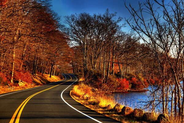 Camino de paso en el bosque de otoño