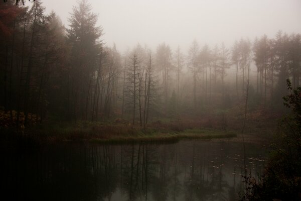 Der Morgennebel verdeckt den See fast