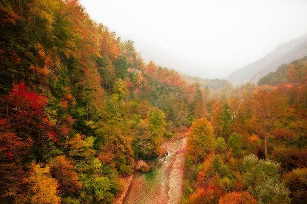 Top view of the autumn landscape