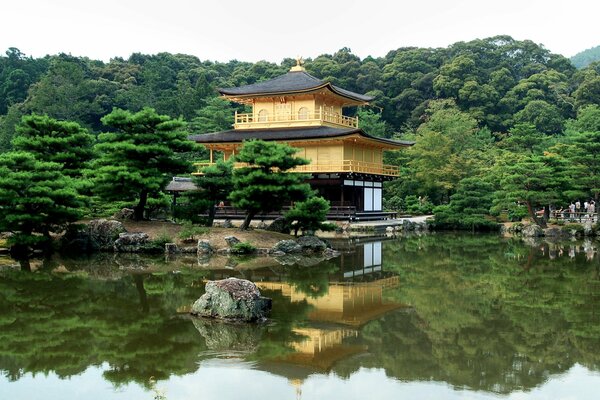 Temps clair au Japon arbres sont affichés dans la rivière