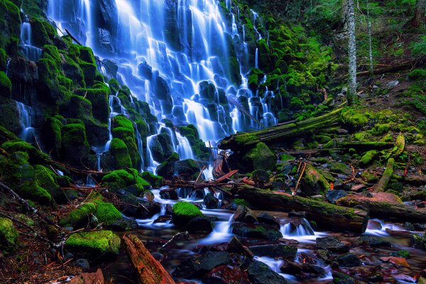 Wald Mount Hood Stein Wasserfälle