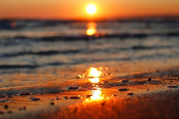 Hermosa puesta de sol en el fondo del mar