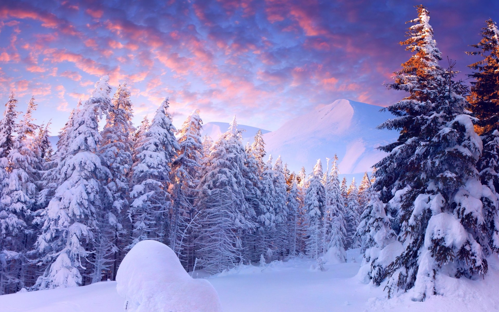 hiver neige arbres montagnes ciel nuages lumière