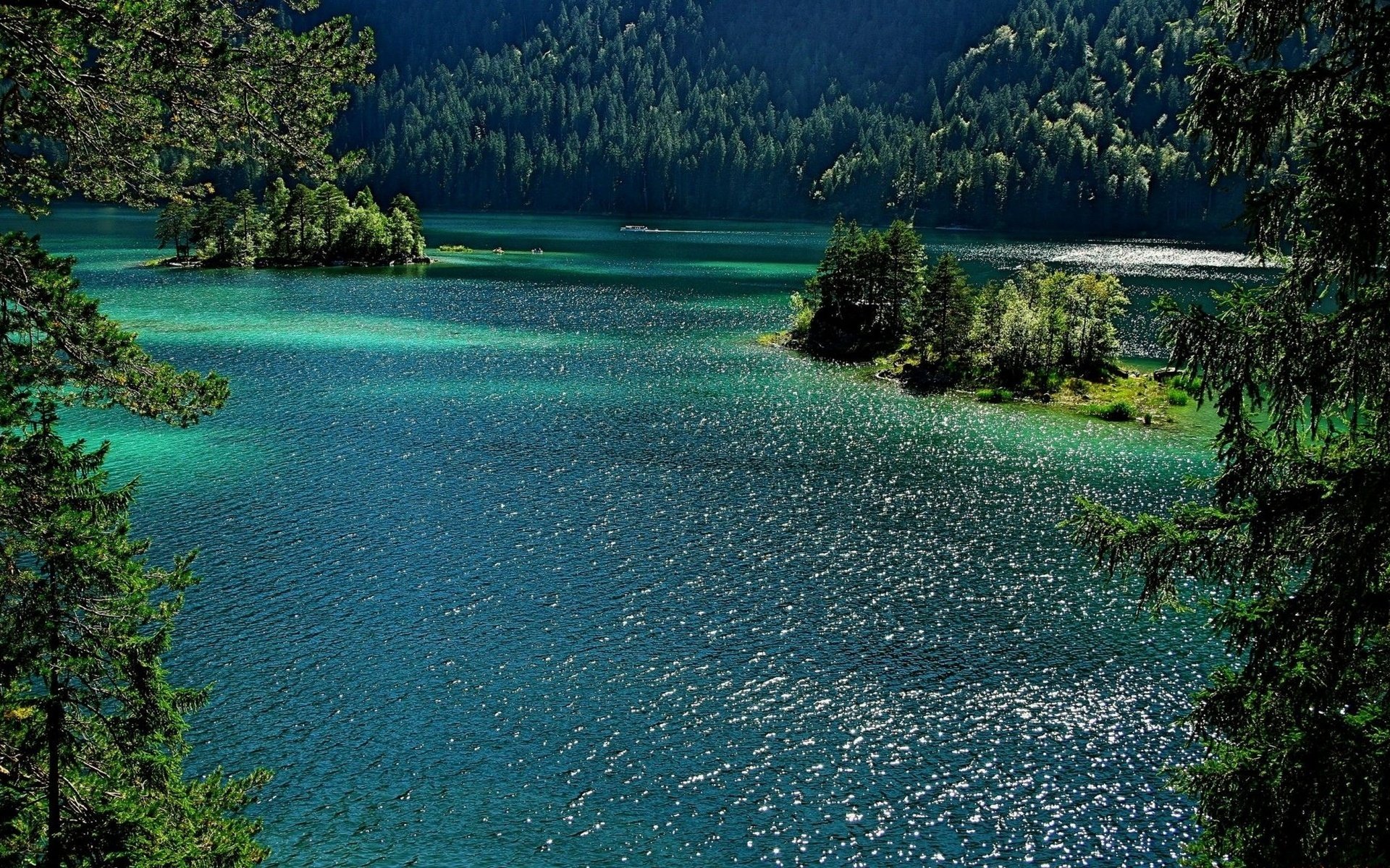 lake tree summer nature landscape forest