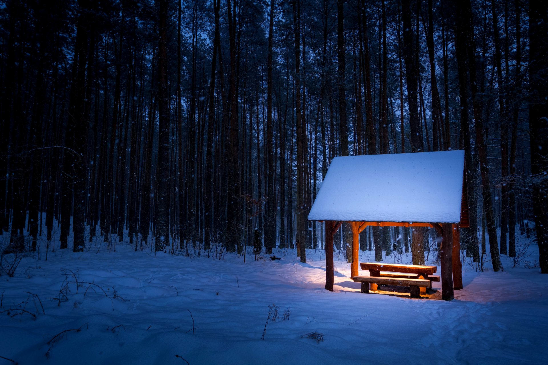 winter snow footprints snowflakes forest trees bushes canopy bench bench table bench lighting light