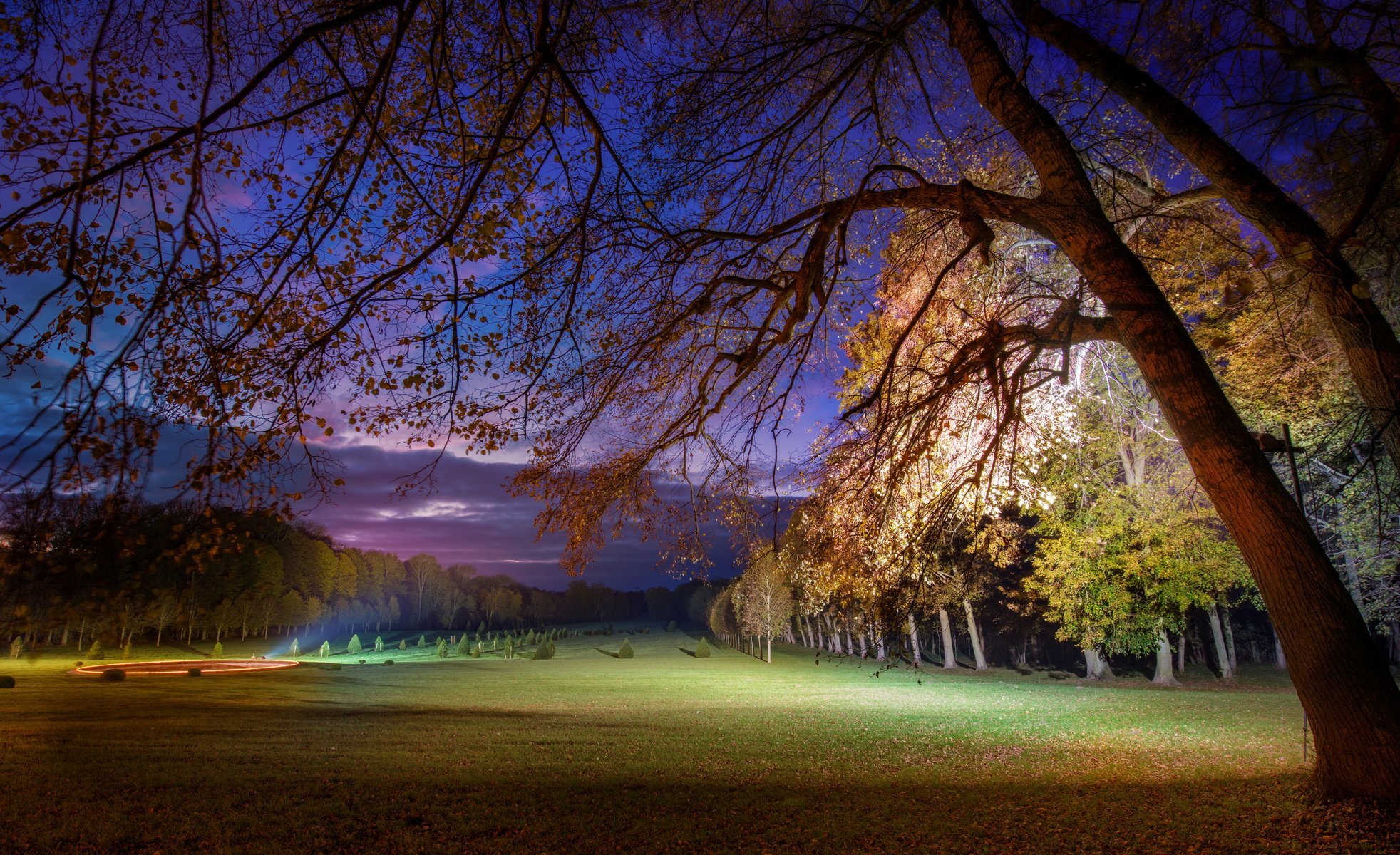 natura albero alberi foglie fiori fiori sera sfondo carta da parati widescreen schermo intero widescreen widescreen