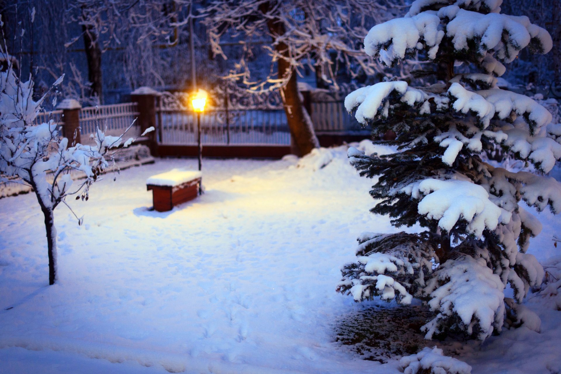 inverno neve cortile albero di natale abete rosso alberi lanterna illuminazione natura