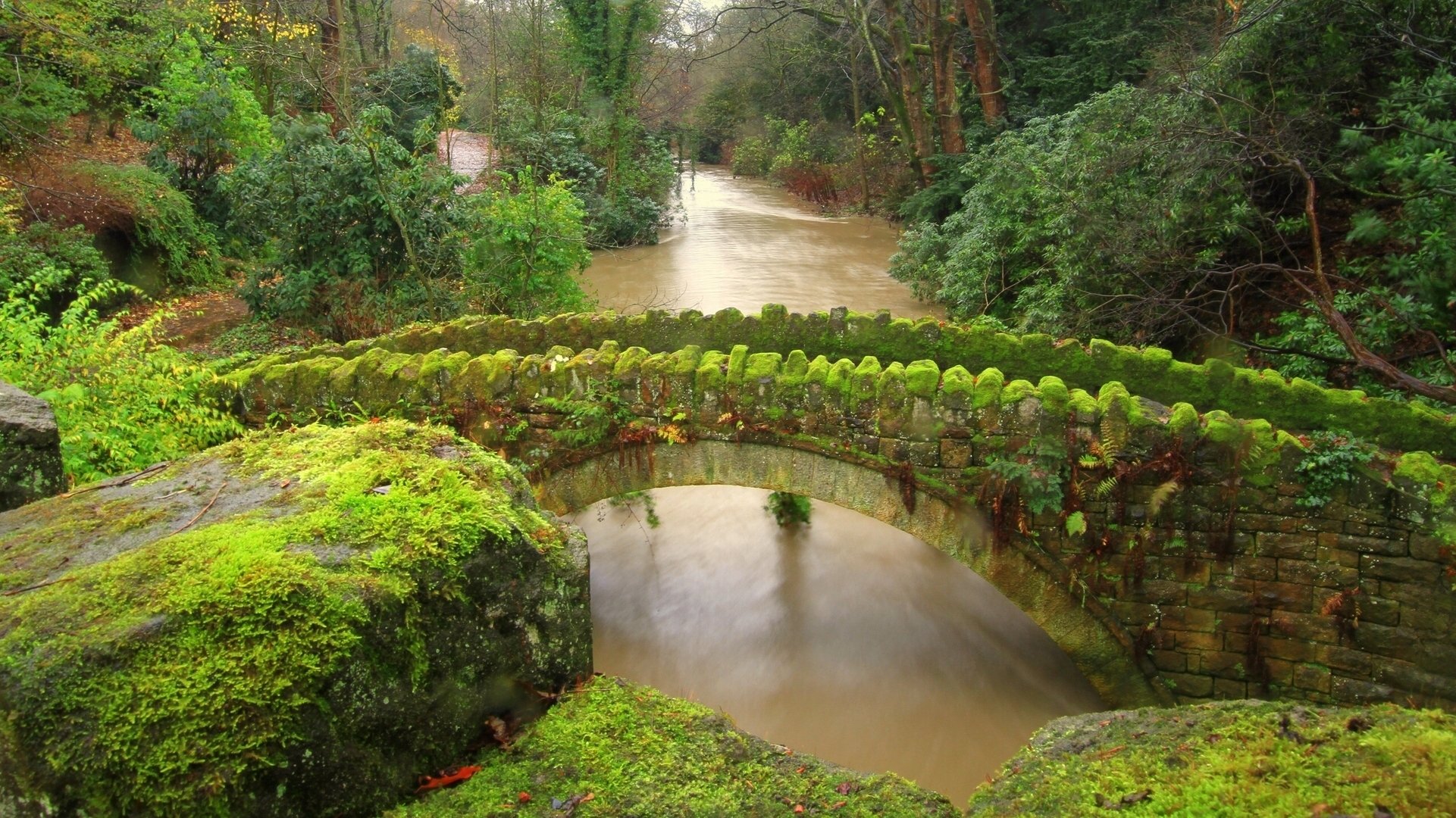 jesmond dene newcastle england bridge river stones moss forest