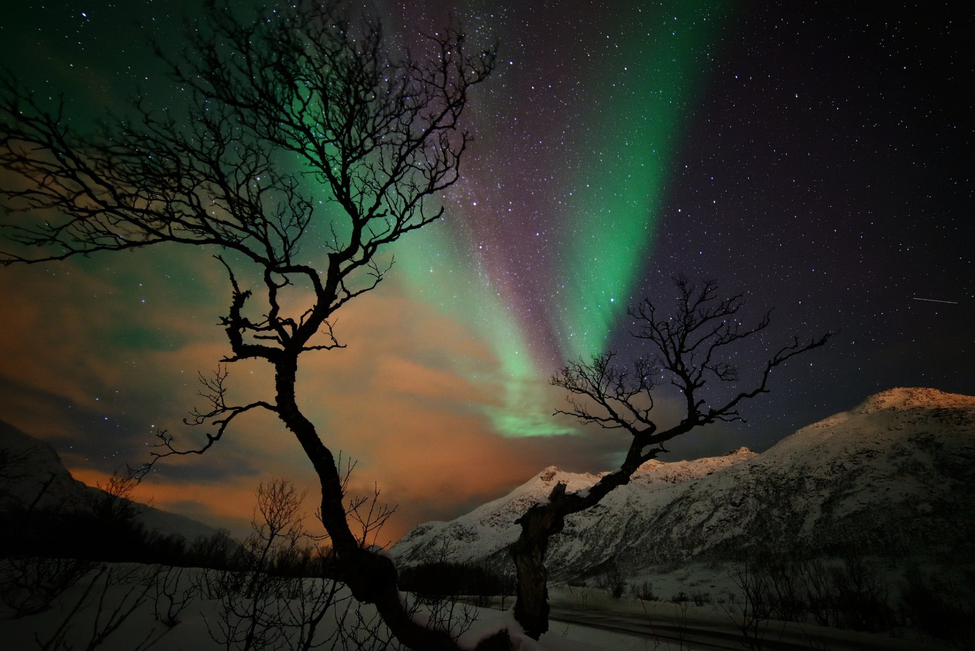 montagne neve inverno albero notte stelle aurora boreale