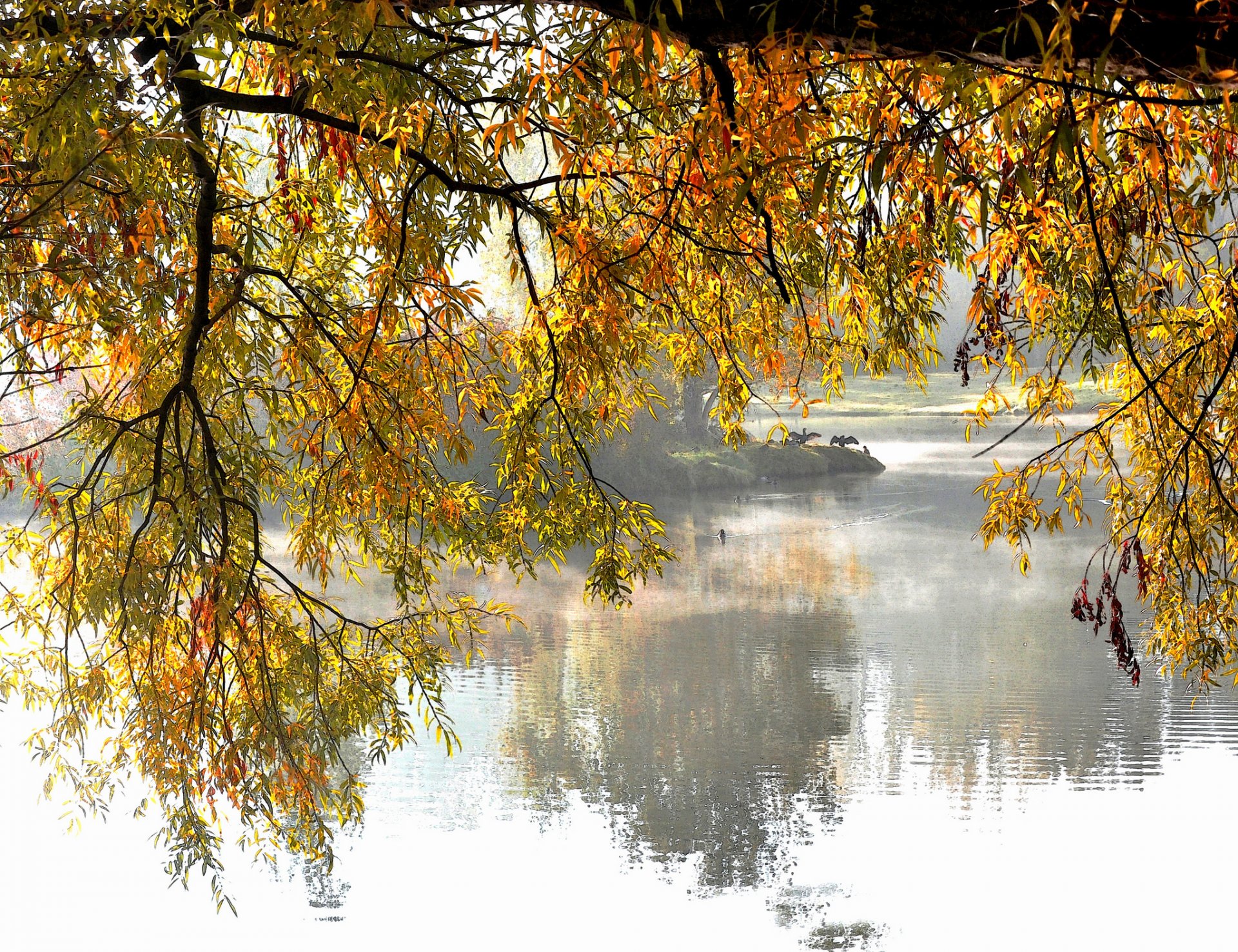 parque lago árboles ramas otoño