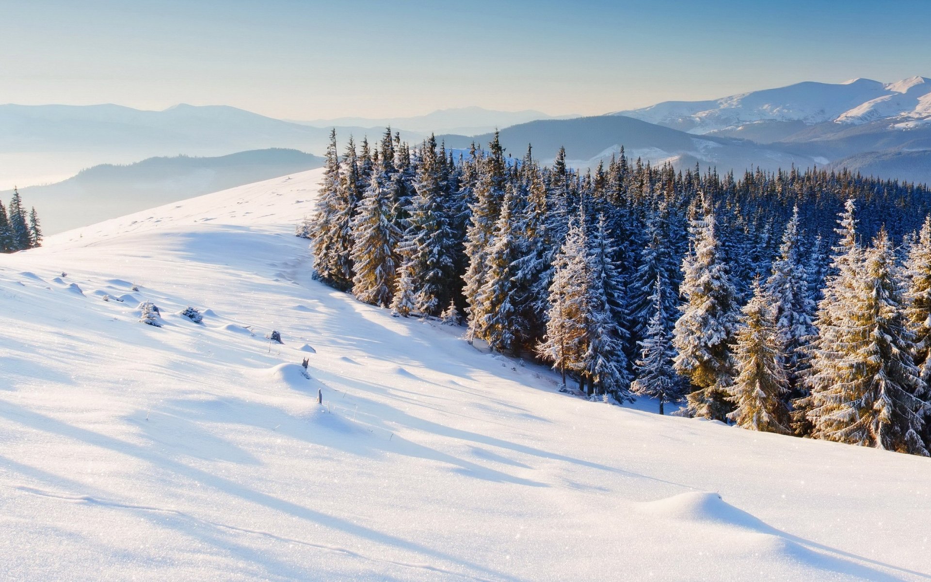 natura inverno neve alberi di natale alberi montagne inverno sfondo carta da parati widescreen schermo intero widescreen