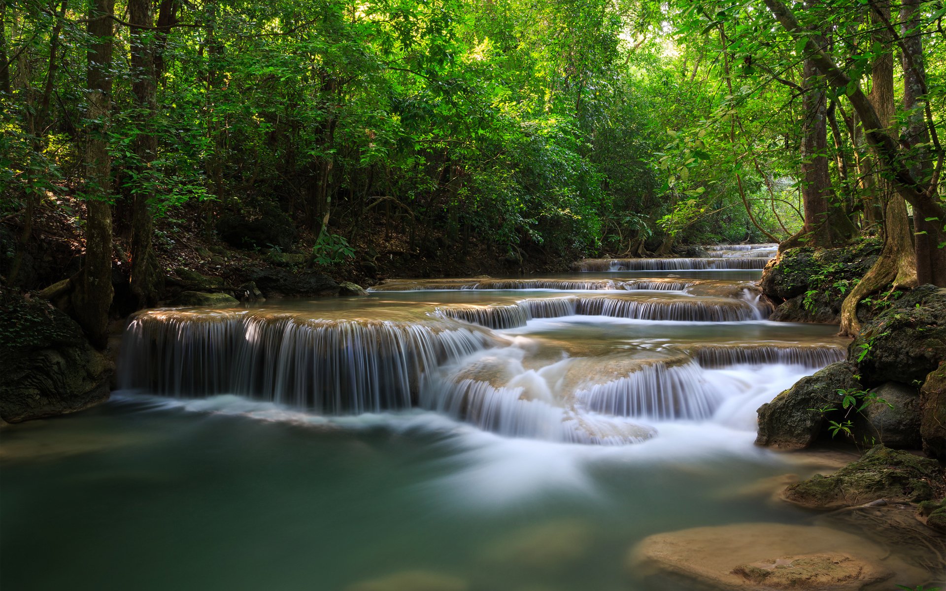 foresta alberi cascate fiume verde