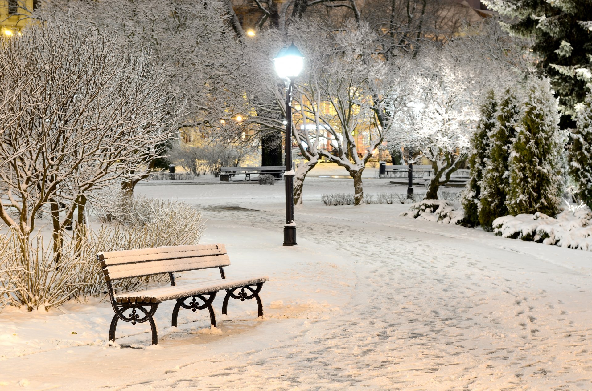 bench bench bench bench winter snow evening lanterns light nature park tree