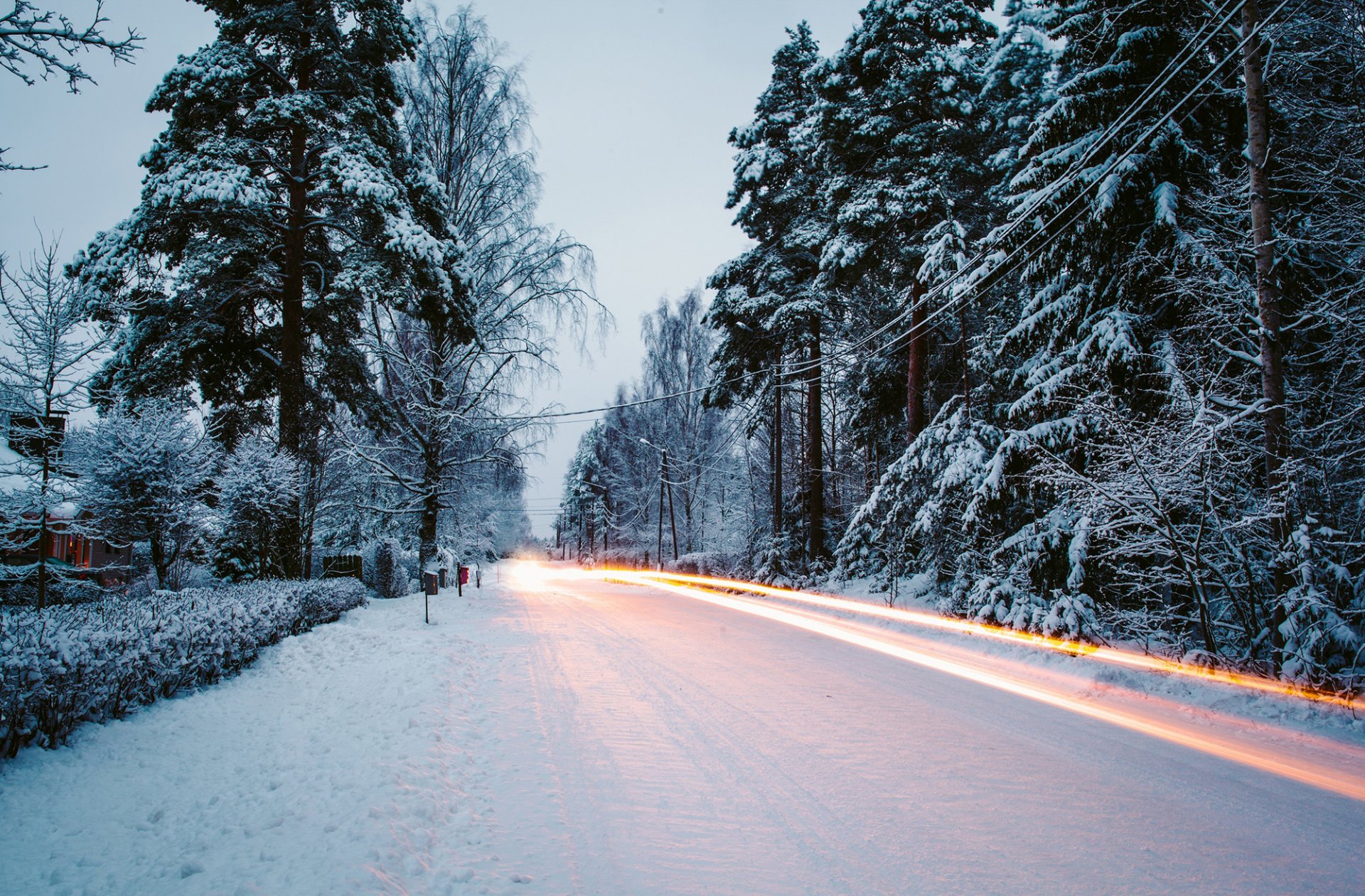 inverno neve natura strada esposizione alberi alberi di natale