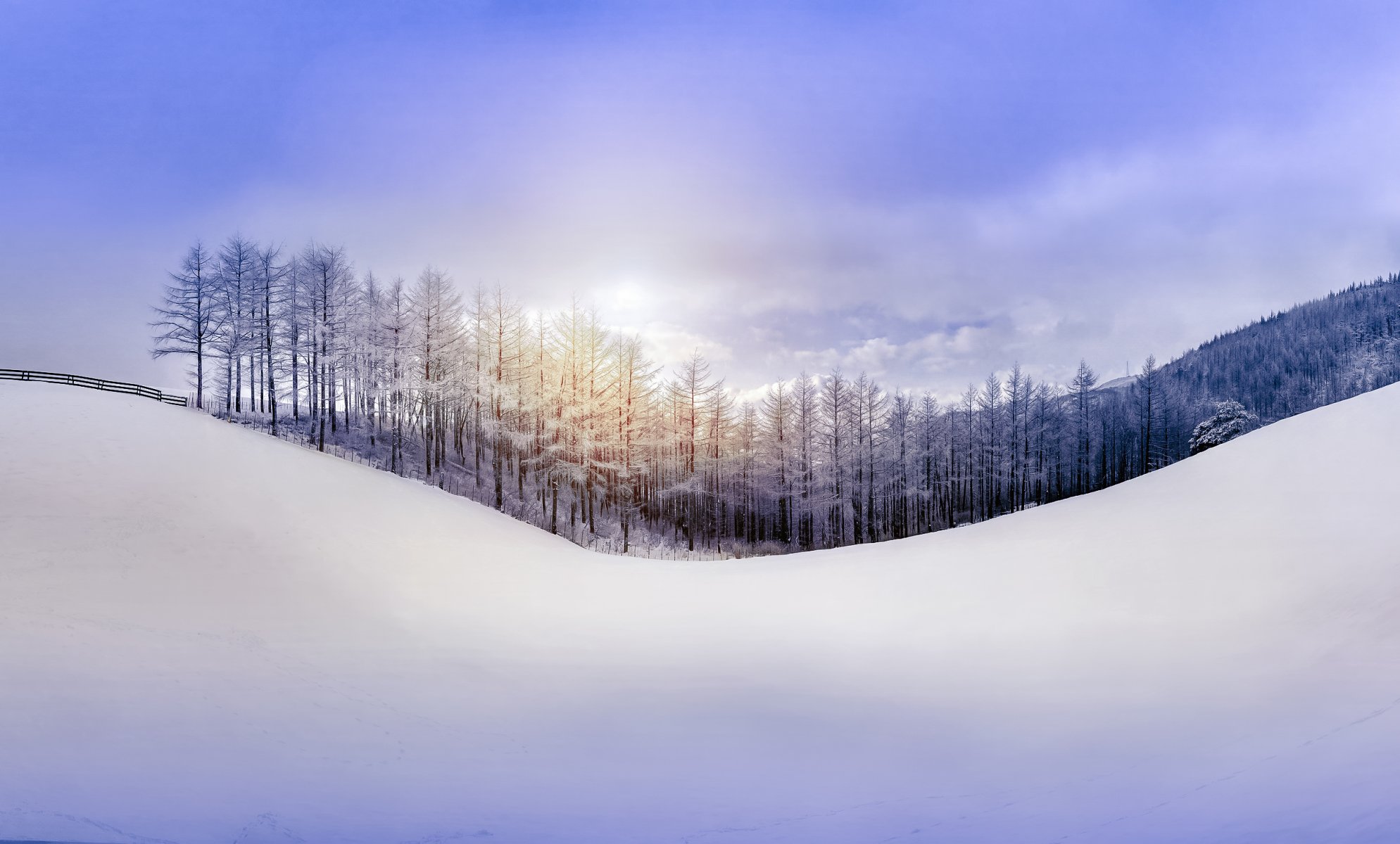 nature hiver forêt neige colline ciel