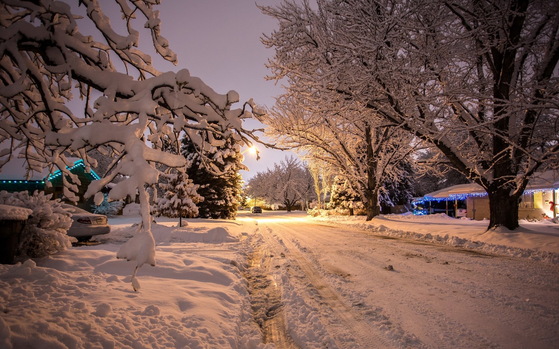 nature winter snow new year tree night beautiful machine vehicles background