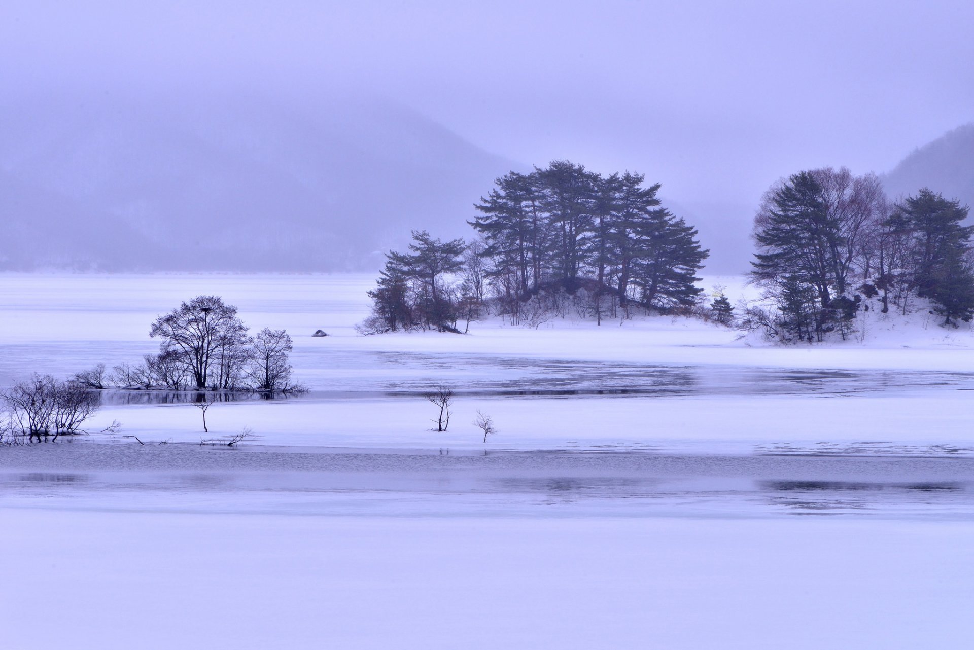 montagne lago isolotti alberi neve ghiaccio nebbia inverno