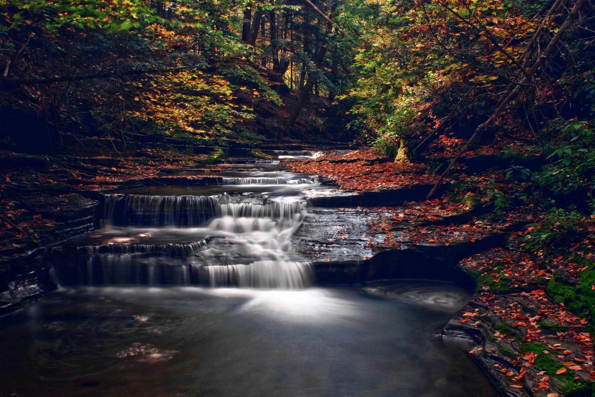 autunno foresta fiume ruscello cascata