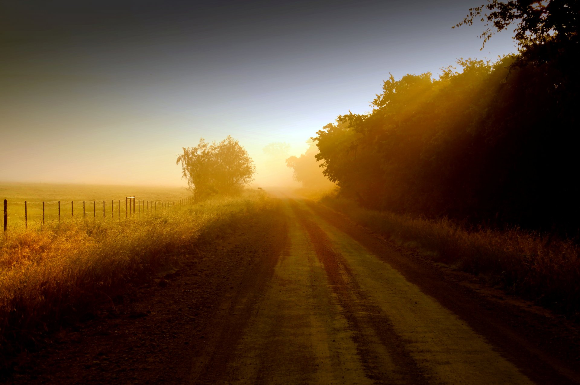 nature grass greenery fence fence trees tree leaves leaves path path sun background wallpaper widescreen fullscreen widescreen widescreen