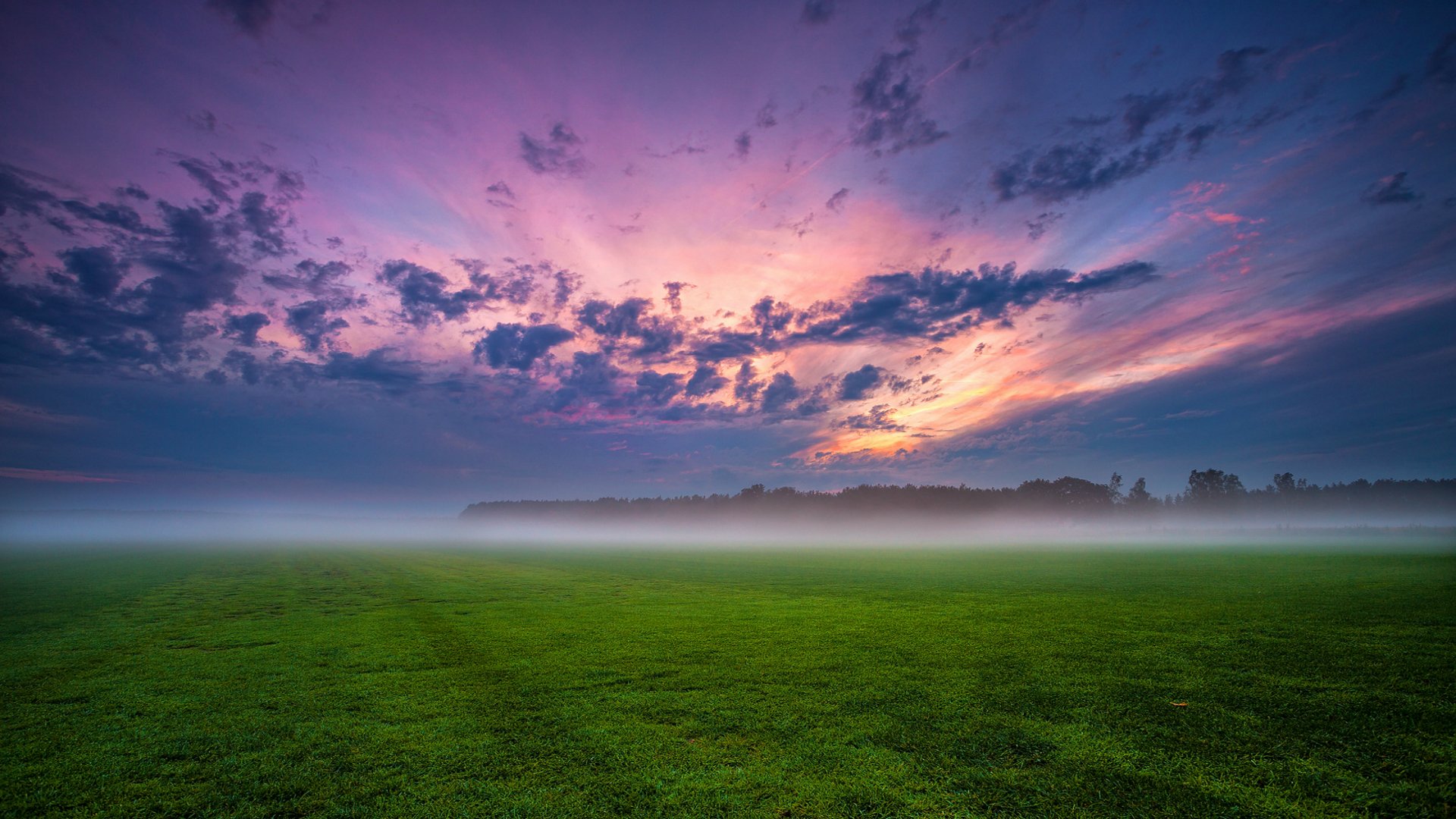 allemagne champ arbres herbe brouillard brume soir coucher de soleil bleu ciel nuages nuages