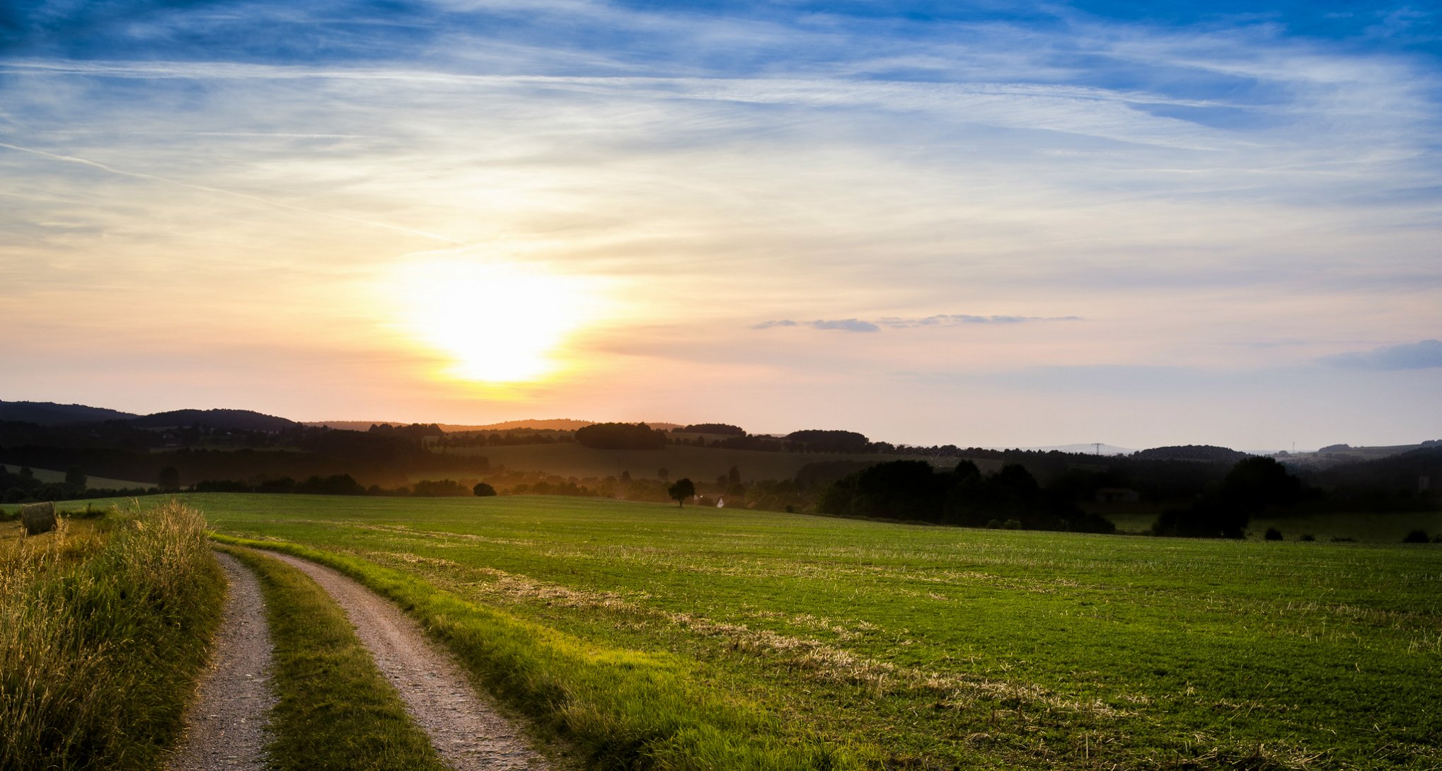 italy summer the field path tree night sun sunset sky cloud