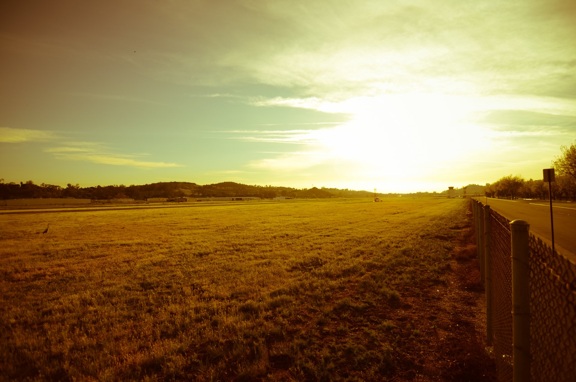 nature landscape distance sun rays road path fence gate grid trees foliage leaves grass greenery sky background wallpaper widescreen fullscreen widescreen leave