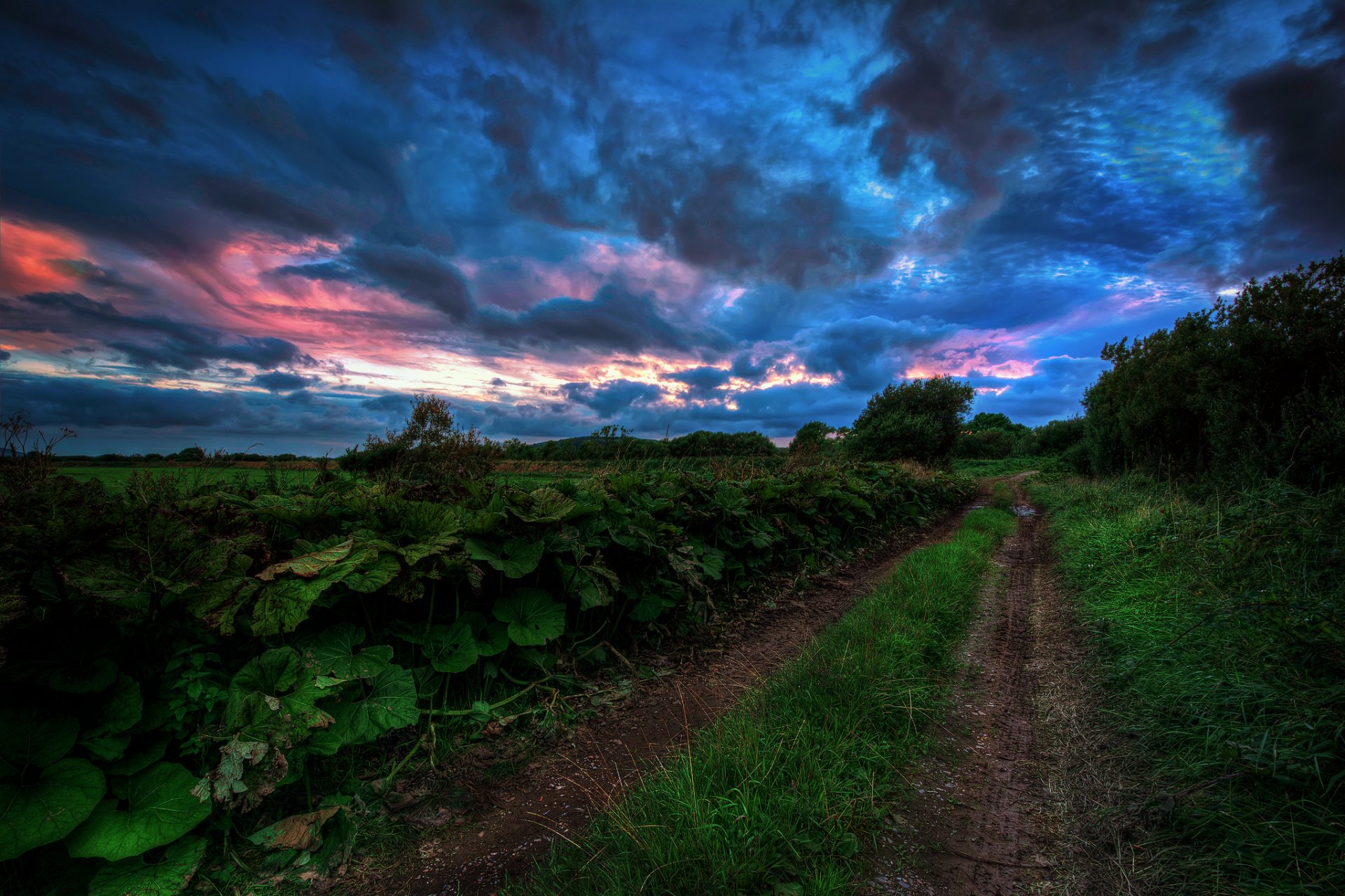 sommer straße gras bäume himmel düster wolken abend