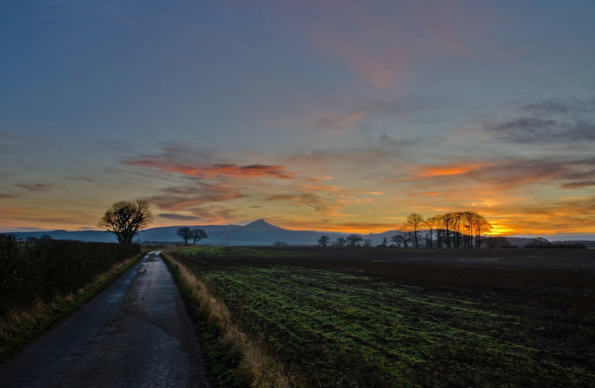 natur baum bäume zweige blätter grün vegetation weg weg straße gehweg feld berge sonnenuntergang sonne himmel wolken hintergrund tapete widescreen vollbild widescreen widescreen