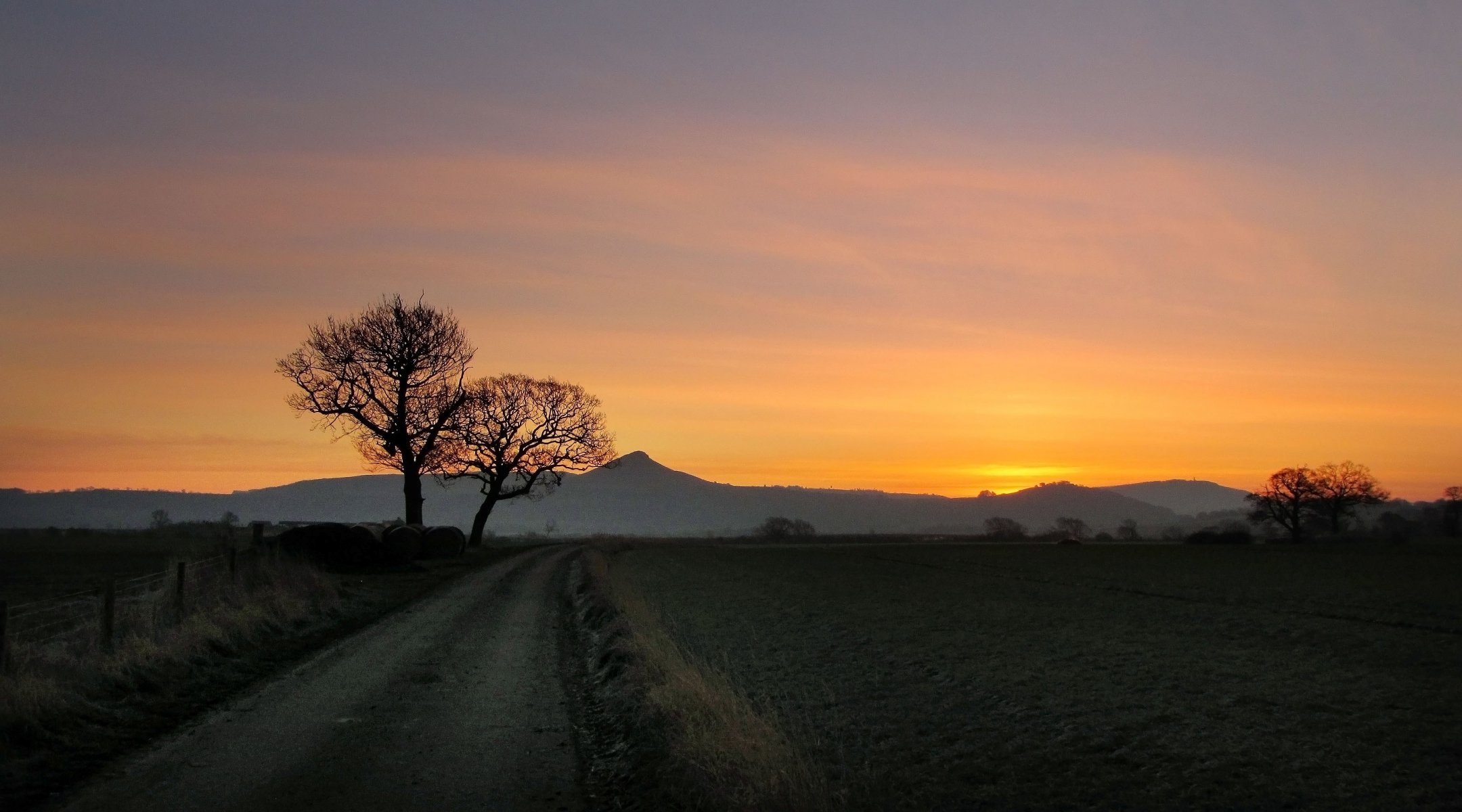 natura albero alberi vegetazione verde sentiero cielo montagne sera sfondo carta da parati widescreen schermo intero widescreen widescreen