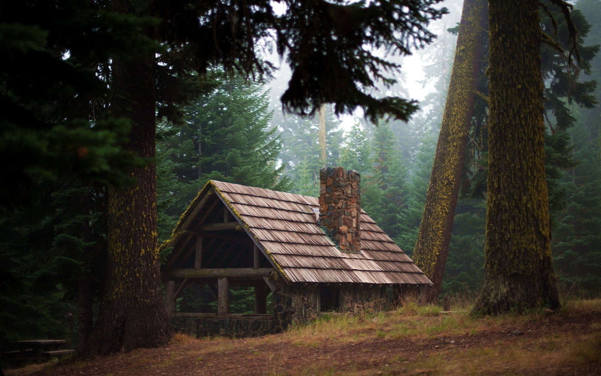 bosque cabaña naturaleza