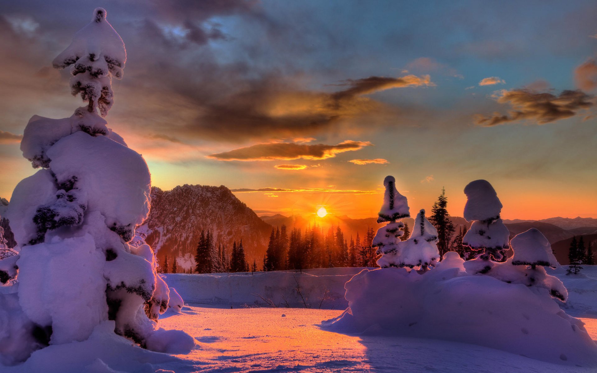 neige forêt soleil coucher de soleil