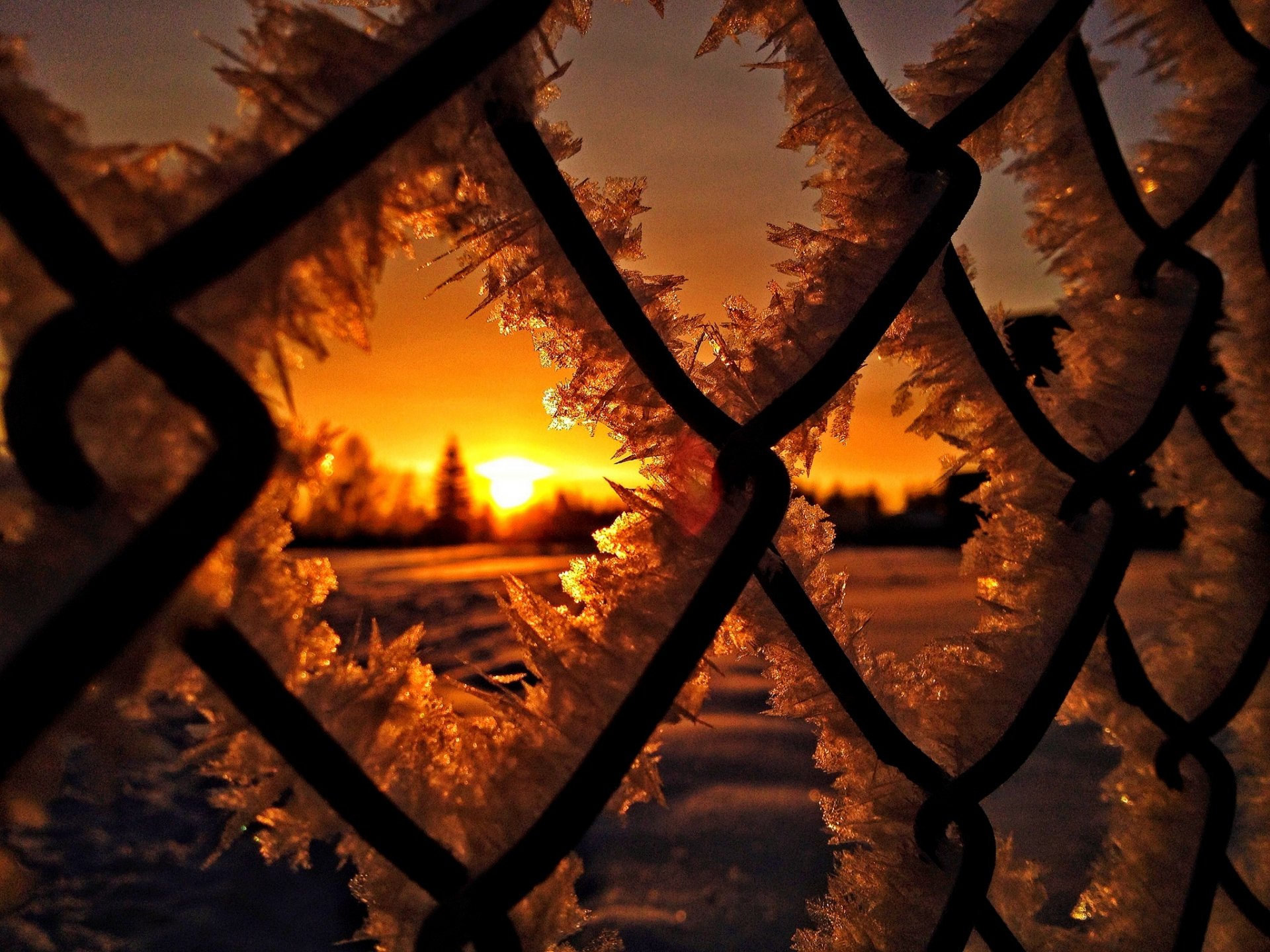 nature hiver neige glace gel soleil coucher de soleil hiver gel lever du soleil