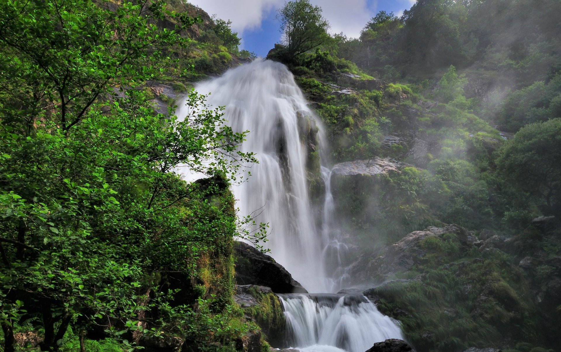 cascata roccia alberi flusso