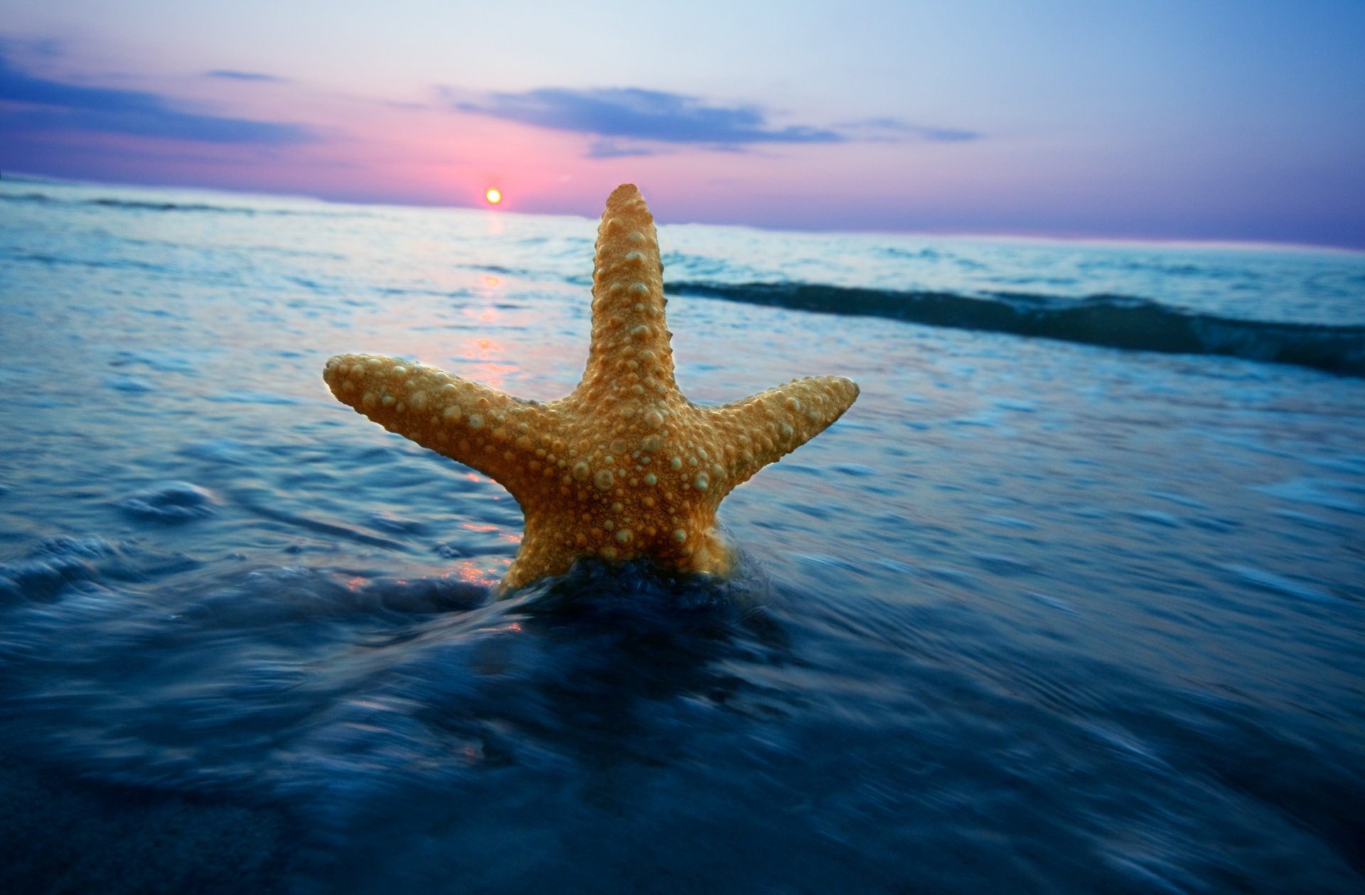 natur meer wasser welle seestern horizont sonne sonnenuntergang himmel wolken hintergrund tapete widescreen vollbild widescreen widescreen