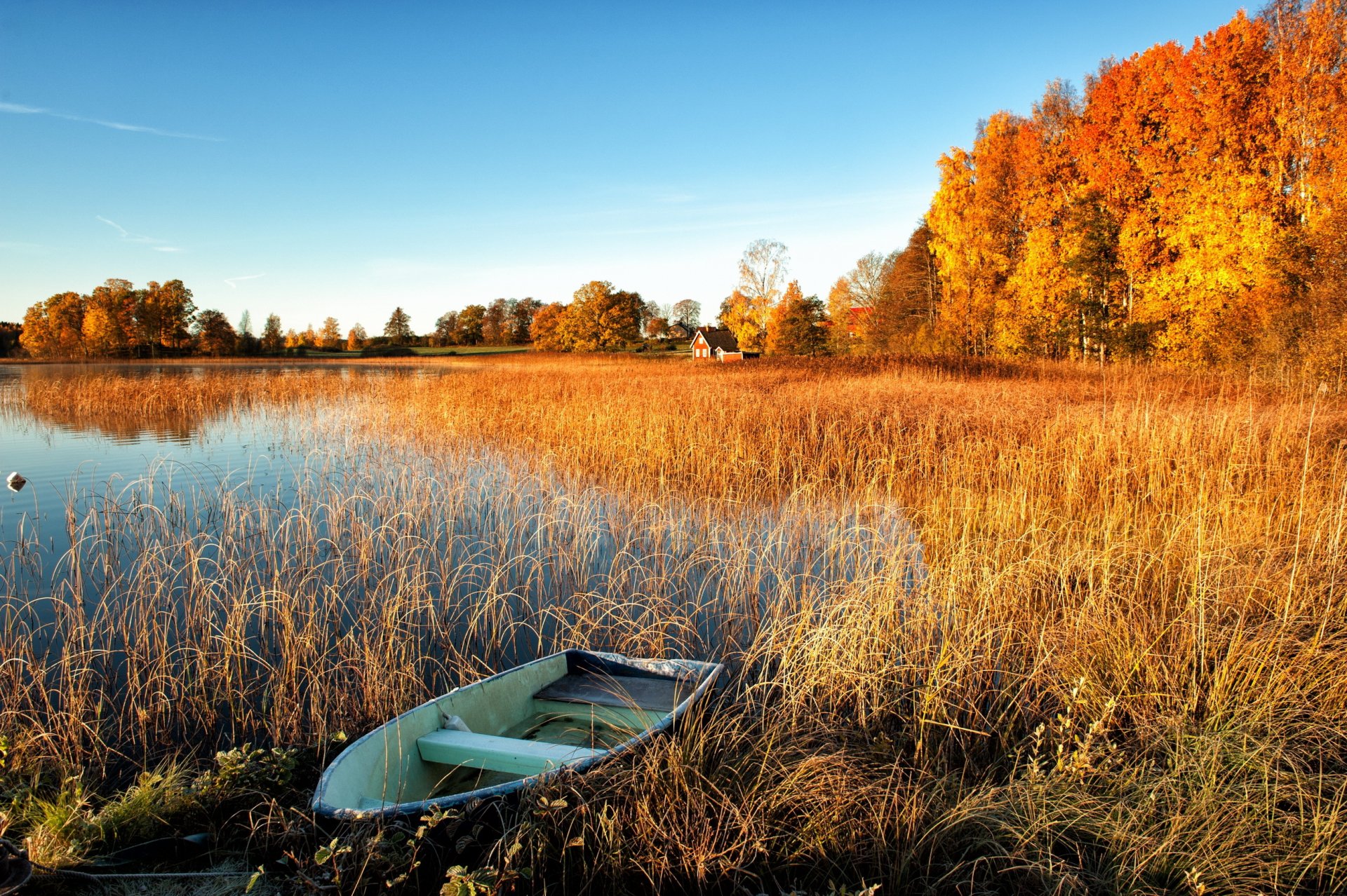 otoño lago barco árboles casas