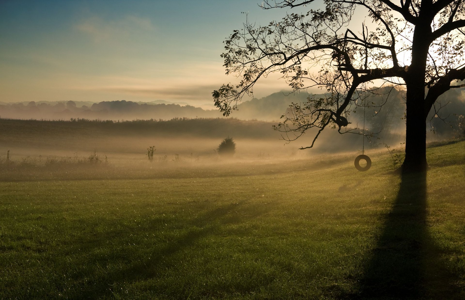 natura albero foglie foglioline rami altalena ruota pneumatico erba verde fogliame cielo nuvole sfondo carta da parati widescreen schermo intero widescreen widescreen