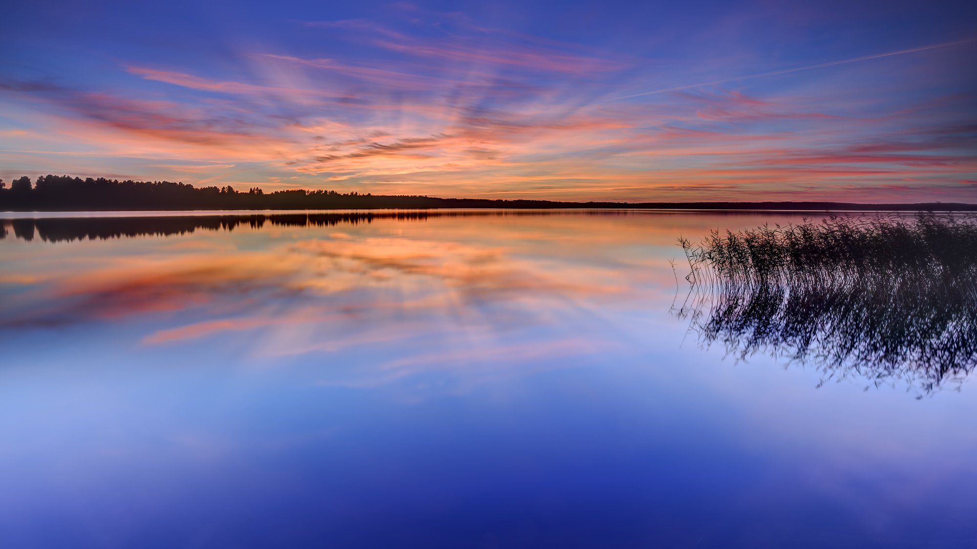 suède karlstad lac eau surface herbe arbres forêt soirée orange coucher de soleil bleu ciel nuages réflexion