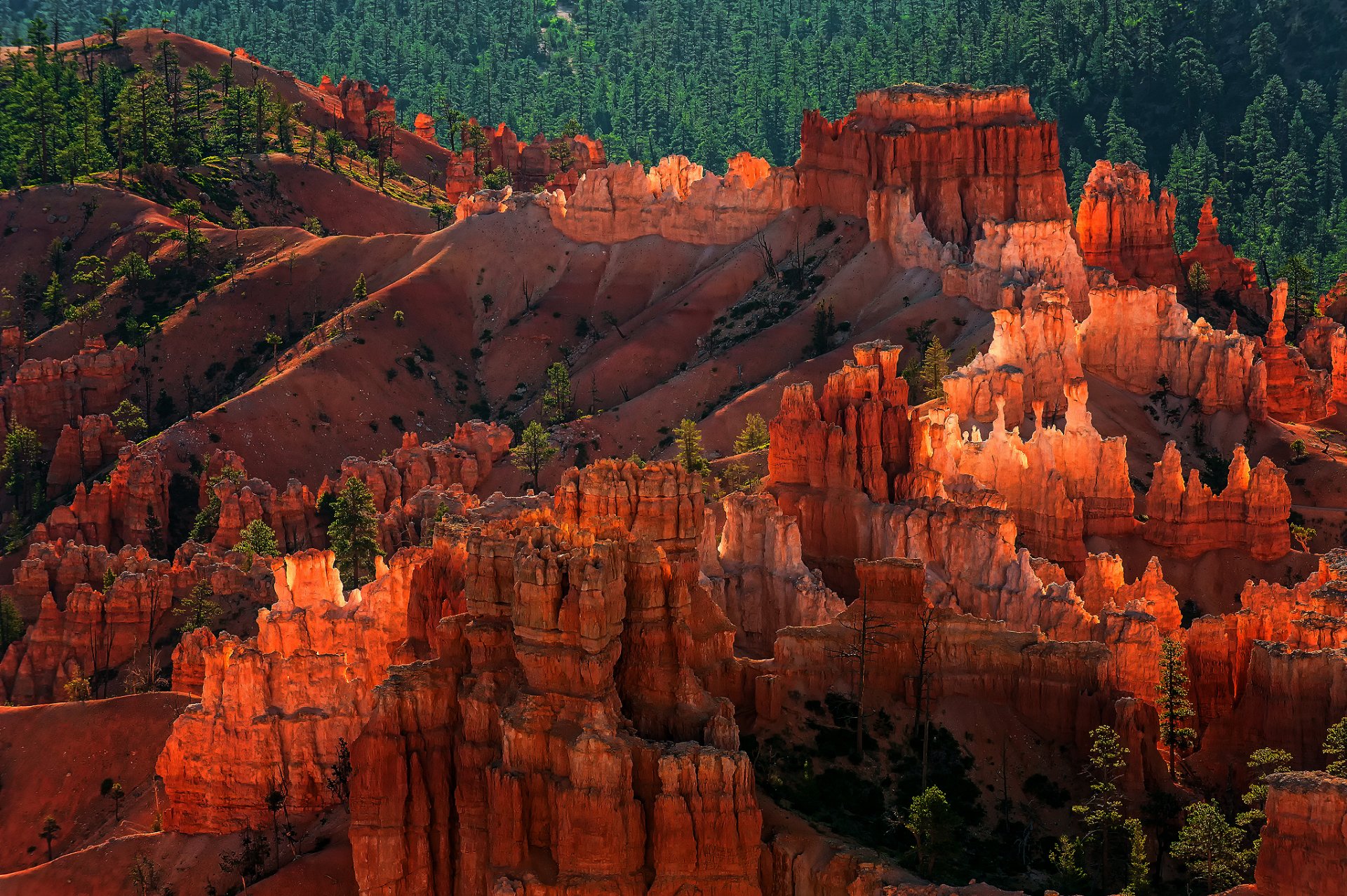 united states utah national park bryce canyon geological structures hood rock forest night