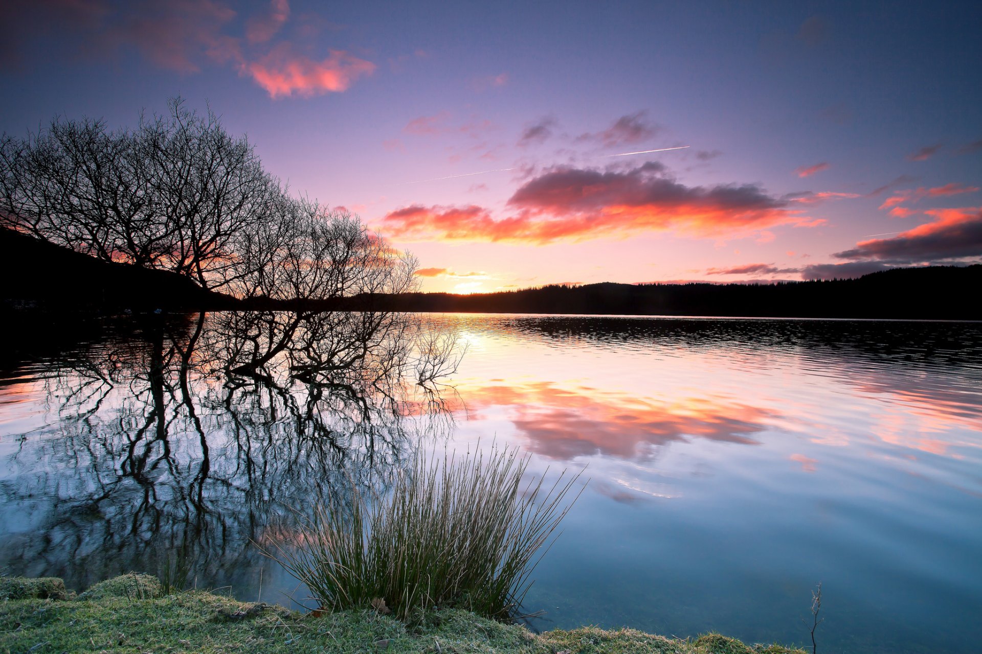 forêt lac arbre silhouette réflexion coucher de soleil soir crépuscule